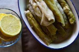 stuffed cabbage rolls