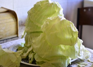 stuffed cabbage rolls